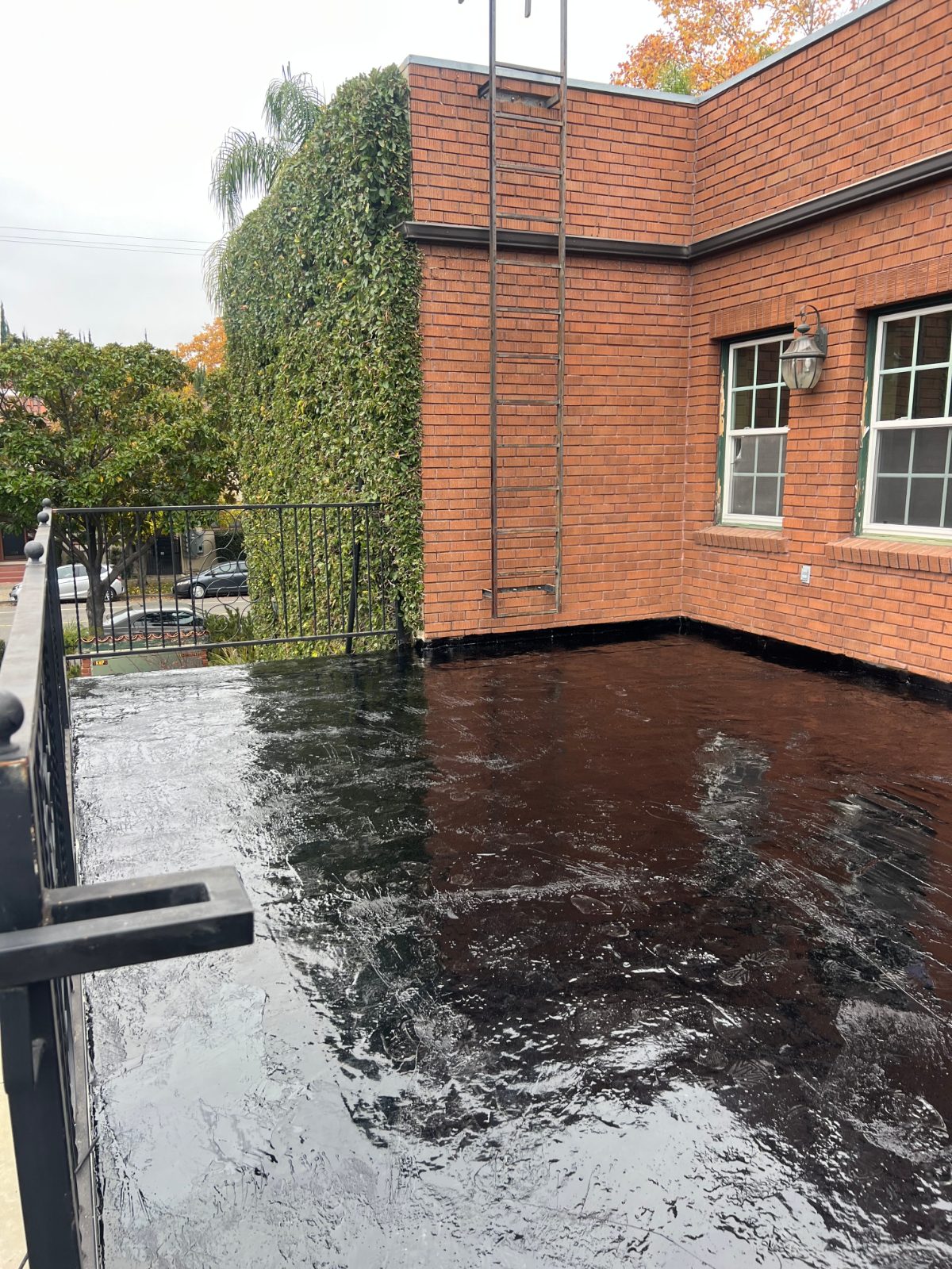Rooftop deck sealed with a black hot mop membrane against a brick building, edged to the wall and railing.